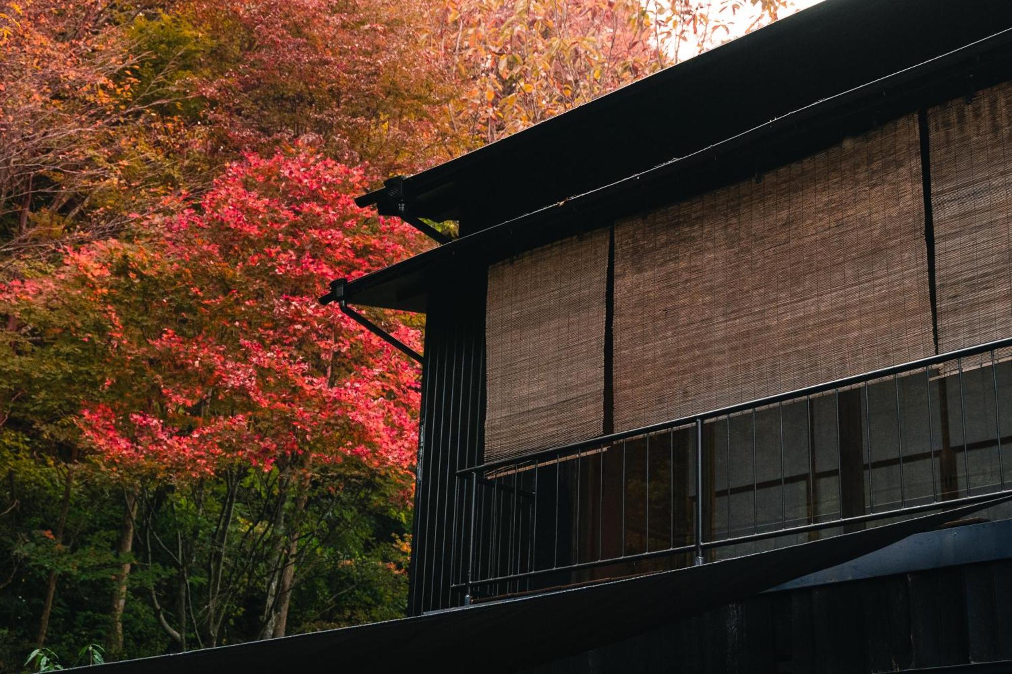 Mysa Hakone Villa Kültér fotó