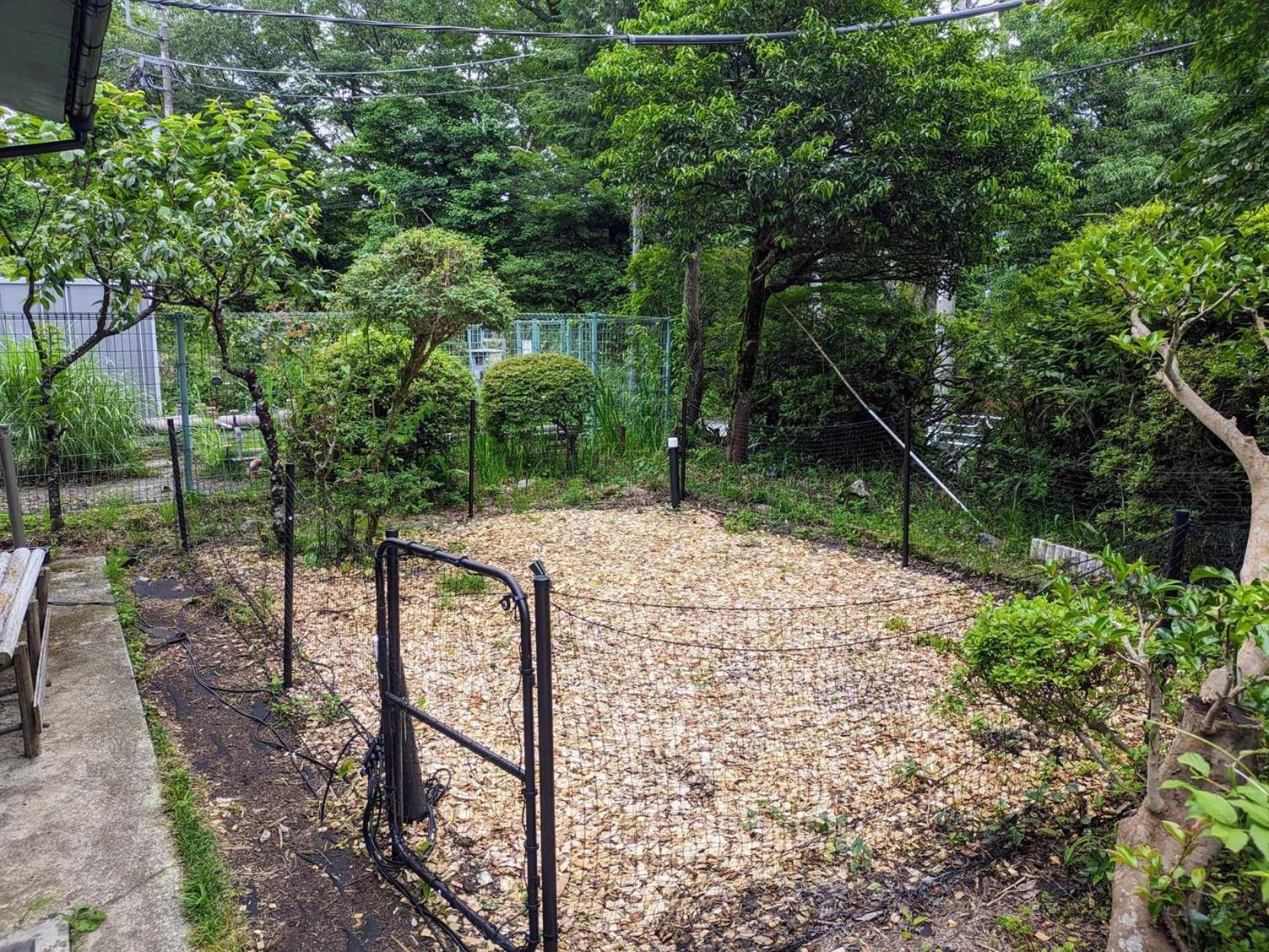 Mysa Hakone Villa Kültér fotó